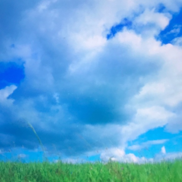 Meet your Posher, Barrett - Picture 1 of 1